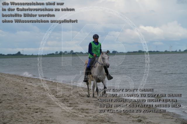 s_K3F04933.JPG